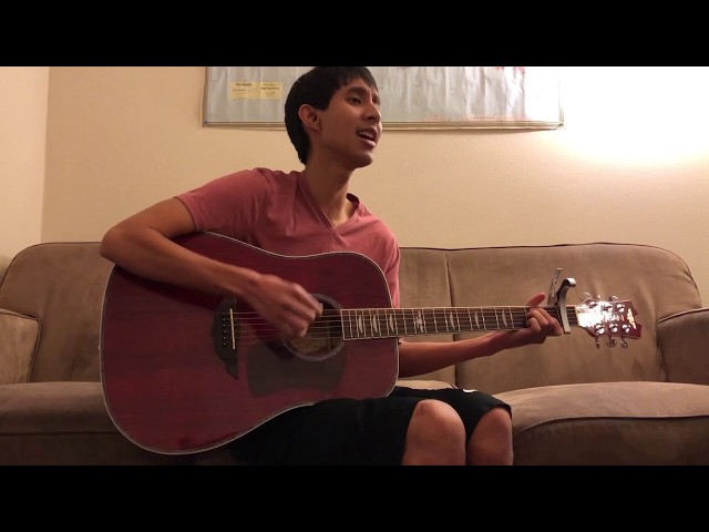 Maroon 5 - Girls Like You (Acoustic Cover by JQ)