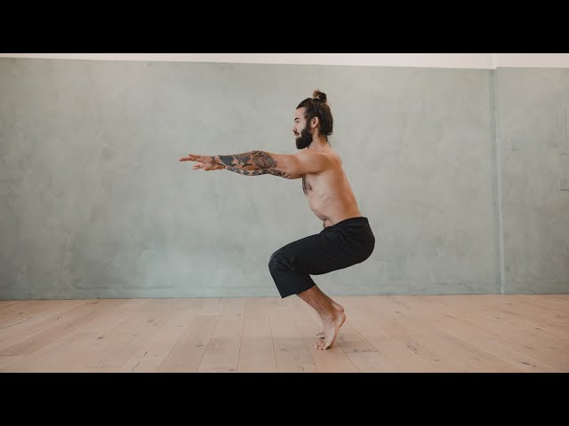 20 Minute Beginner Strength and Mobility Practice