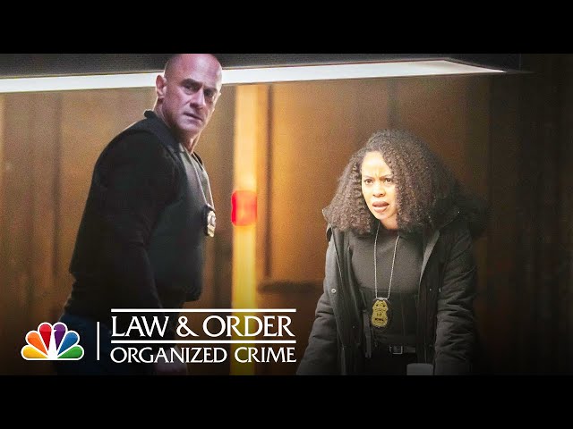 Bell Lays into Stabler About Wanting to Go Undercover Again | NBC's Law & Order: Organized Crime