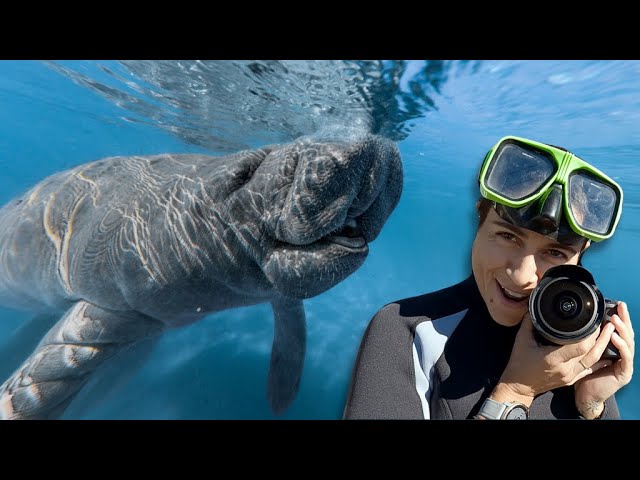 Virginia to Florida | Manatees, Top Golf, Dancing AND...