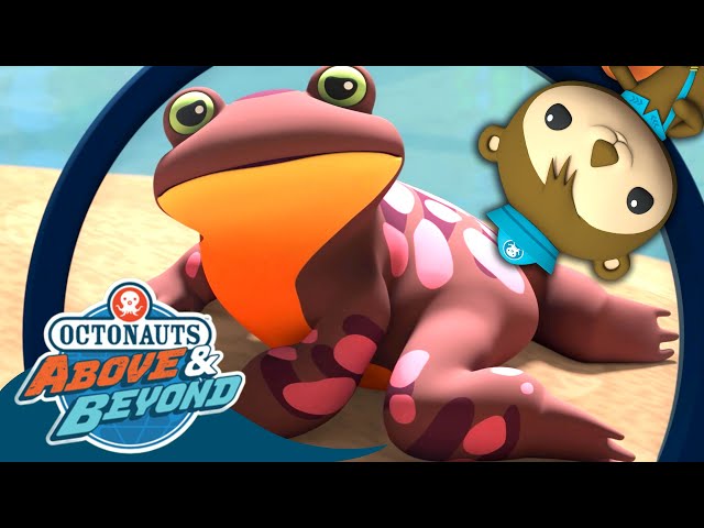 Octonauts: Above & Beyond - Friends from Above the Sea 🏜️ | Anti-Bullying Month | @Octonauts​