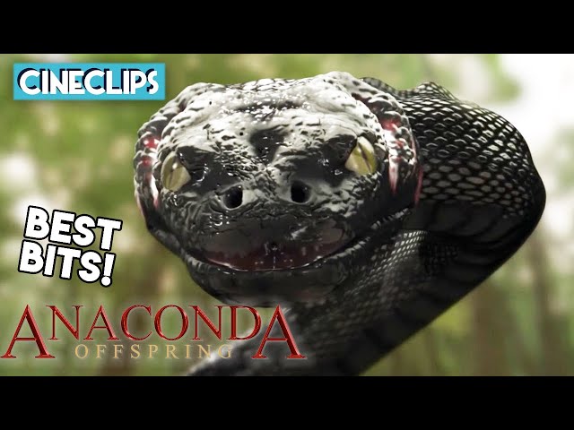 Anaconda 3 Wildest Moments! | Anaconda 3: Offspring