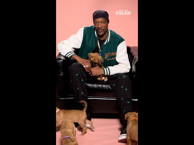 The biggest dog Snoop Dogg plays with baby dogs. 🥹 | Snoop Dogg with Puppies