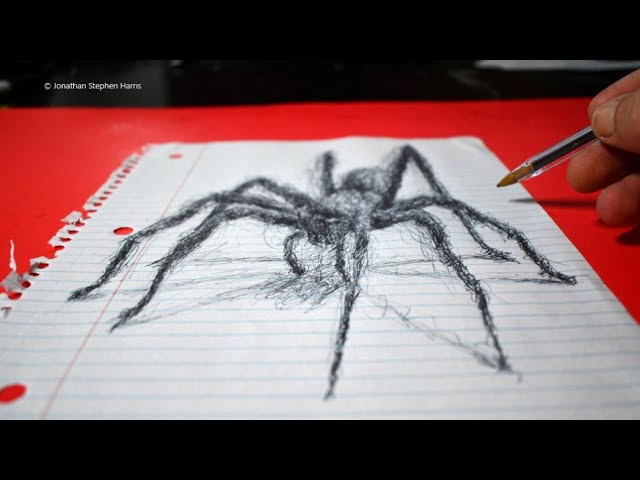 3D Spider Drawing | Scribble Art / Optical Illusion