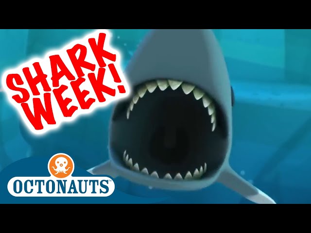 #sharkweek Octonauts - Celebrate Shark Week with a Shark Compilation Special! | Cartoons for Kids