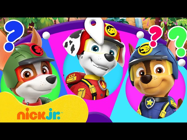 PAW Patrol Jungle Pups Spin the Wheel #2! w/ Chase & Marshall | Games For Kids | Nick Jr.
