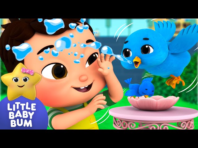 Two Little Dickie Birds ⭐ New Song!  | Little Baby Bum