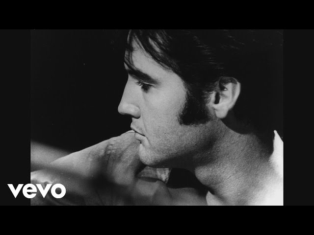 Elvis Presley, The Royal Philharmonic Orchestra - The Making of the Wonder of You