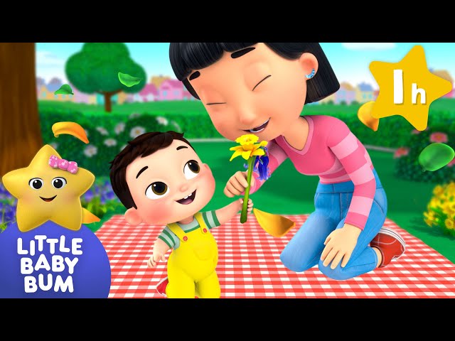 Red Blue Yellow Green! Song of Colours +More⭐ LittleBabyBum Nursery Rhymes - One Hour of Baby Songs