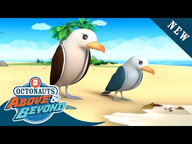 Octonauts: Above & Beyond - The Stubborn Albatross | Season 2 | @Octonauts​