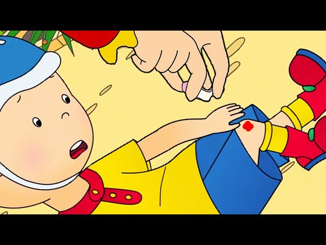 Caillou Falls down | Funny Animated Caillou Videos For Kids | Videos For Kids