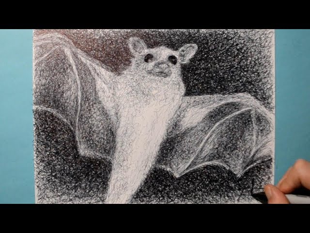 How to Draw a Bat / Ballpoint Pen Drawing / Fun Scribble Art Style