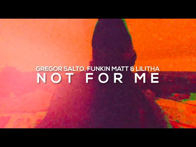 Gregor Salto & Funkin Matt feat. Lilitha - Not For Me