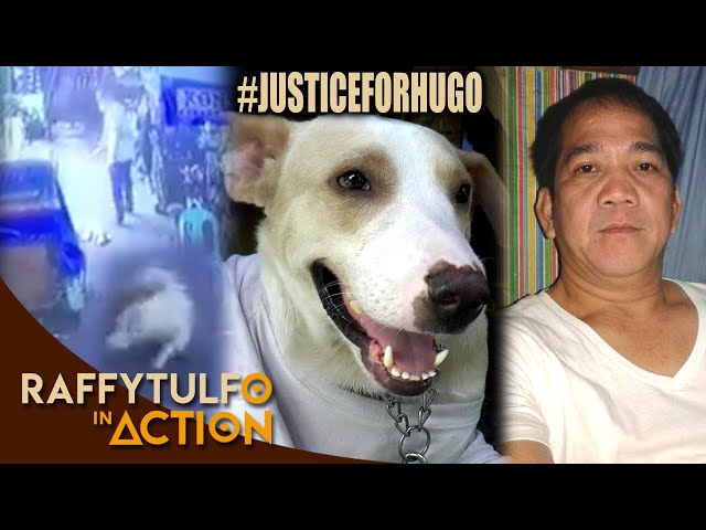 KUMUSTA NA BA ANG VIRAL NA ASONG KINAWAWA NG ISA RAW DOG LOVER?