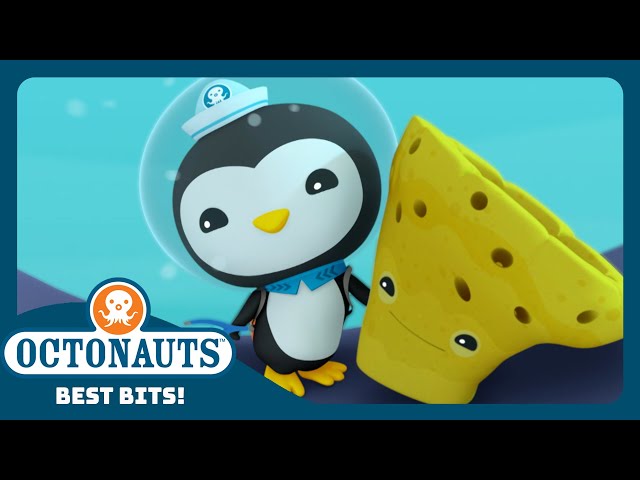 @Octonauts - 🧽 Sea Sponge Rescue ⛑️ |  Season 3 | Best Bits! | Underwater Sea Adventures