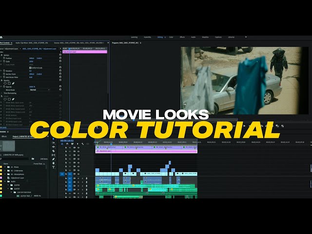 Movie Looks Color Tutorial & Example In Real Time!