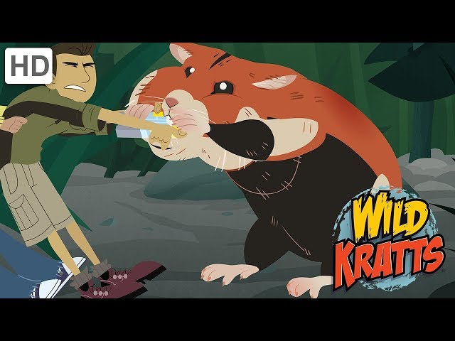 Wild Kratts - How to Have Wild Fun in Winter