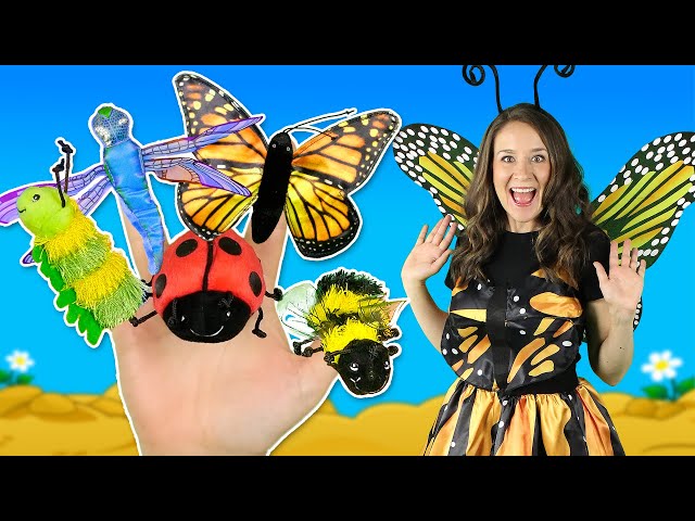 Finger Family Bugs! 🐞🐛🦋 Learn about insects and Mini Beasts with the Finger Family Song for Kids