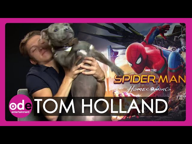 SPIDER-MAN: Tom Holland brings his dog to our interview