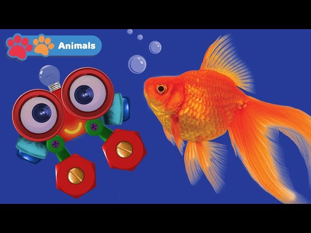 Learn Sea Animals for Kids with Robi | Animals Names & Sounds | Zoo & Wild Animals for Children