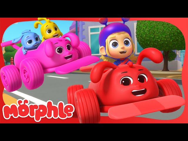 Baby Morphle Racers | BRAND NEW | Cartoons for Kids | Mila and Morphle