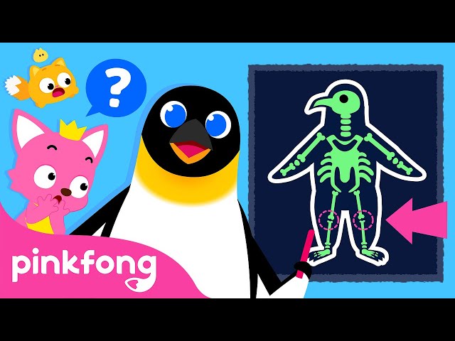 Explore Fun Facts about Animal Body Parts | Learn with Pinkfong & Baby Shark | Pinkfong for Kids