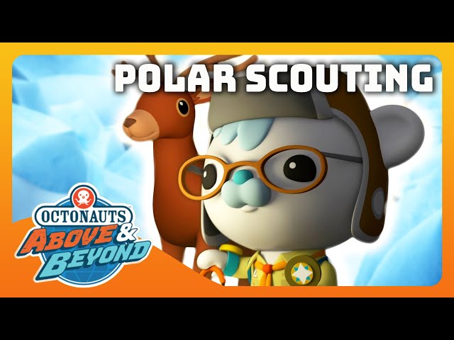 Octonauts: Above & Beyond - 🐻‍❄️ Polar Scouting with Agent Tracker 🐾 |  Compilation | @Octonauts​