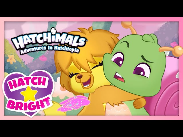 Hatchimals Hatch Bright Episodes 1 to 5 | Adventures in Hatchtopia Compilation | Cartoon for Kids
