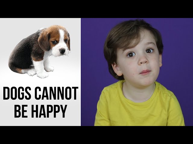 72 Animal Facts That Are 100% True | FREE DAD VIDEOS