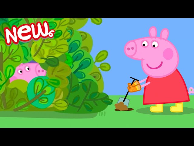 Peppa Pig Tales 🌳 The Garden Den! 🏕 Peppa Pig Episodes