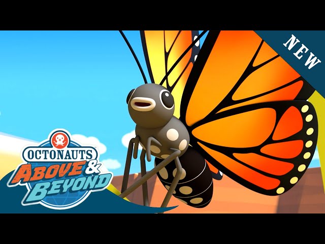 Octonauts: Above & Beyond - The Monarch Butterflies Winter Migration 🦋 🚜 | Season 2 | @Octonauts​