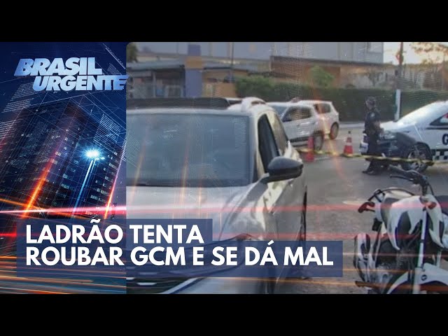 Ladrão tenta roubar GCM de folga e se dá mal | Brasil Urgente