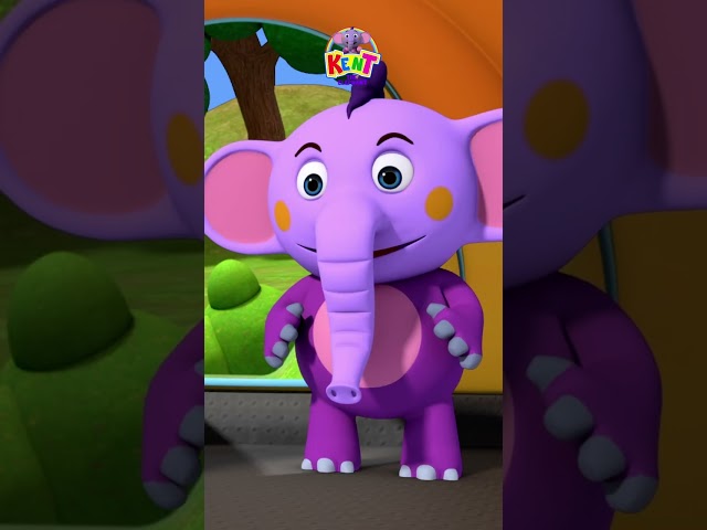 Kent The Elephant - I Had A Little Turtle Song  #shorts #kidssong #nurseryrhymes #hooplakidz