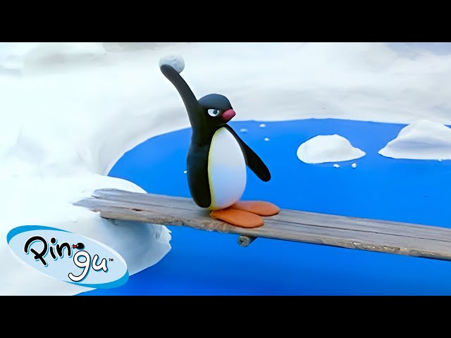 Pingu Seeks Revenge 🐧 | Pingu - Official Channel | Cartoons For Kids