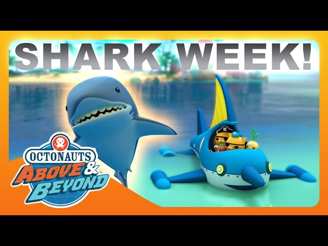 Octonauts: Above & Beyond - 🤿 Big Bad Shark Chases 🦈 | Shark Week Compilation | @Octonauts​