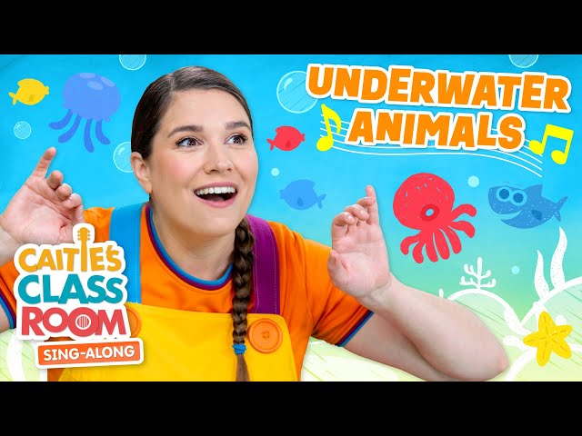 Underwater Animals | Caitie's Classroom Sing-Along Show | Ocean Songs for Kids!