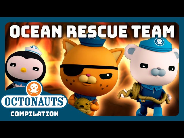 @Octonauts - 🐻‍❄️🐙 ANIMAL Ocean Rescue Team GO! ⛑️🛟 | 3 Hours+ Full Episodes Marathon