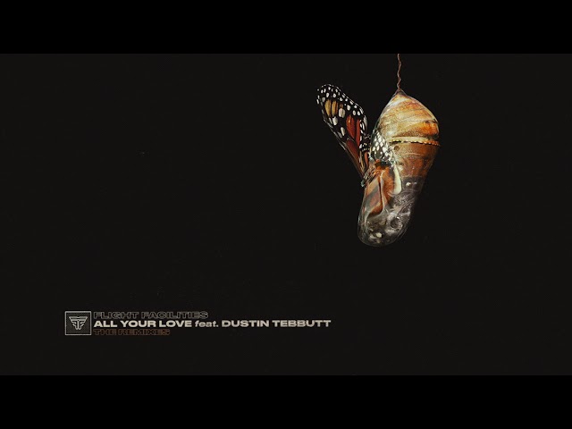 Flight Facilities - All Your Love feat. Dustin Tebbutt (Joakim Paradise Remix)