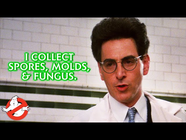 "I Collect Spores, Molds, & Fungus." | Best of Egon Spengler | GHOSTBUSTERS