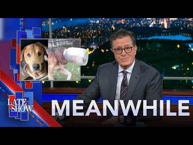 Meanwhile… Shower in Your Jeans | Adopt Cheeto the Dog | UK’s Soggy Chestnuts