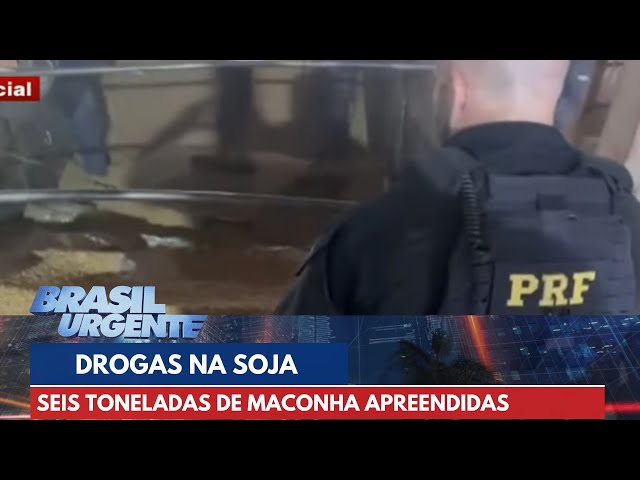 Polícia apreende seis toneladas de maconha em carregamento de soja | Brasil Urgente