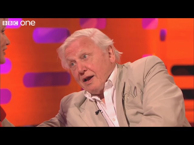 Attenborough Now and Then - David Attenborough - BBC