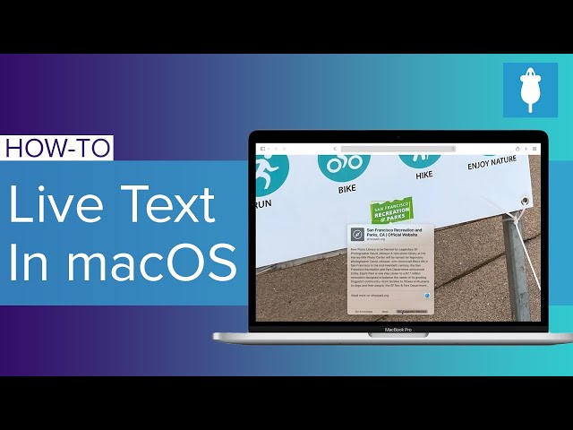How To Use Live Text And Visual Look Up On MacOS Monterey