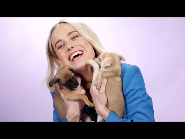 Brie Larson Plays With Puppies While Answering Fan Questions