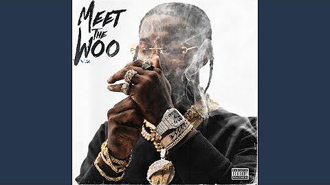 Meet The Woo, Vol. 2