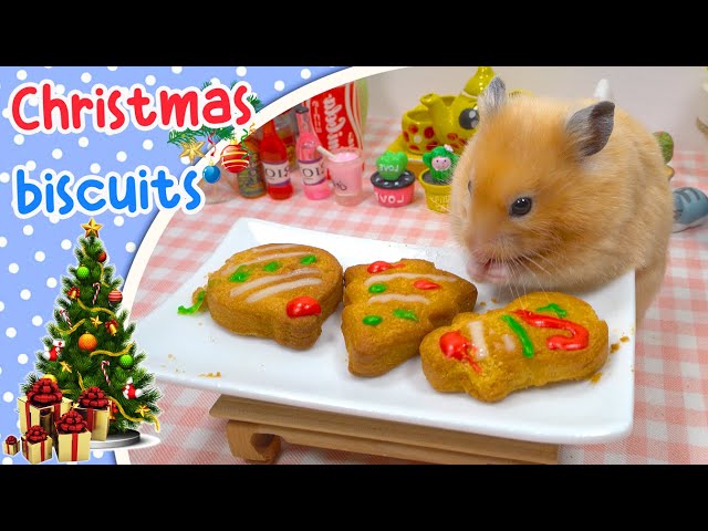 🎄 DIY Super Mini Christmas Cookies for Hamsters 🐹 Miniature Cooking 🍳