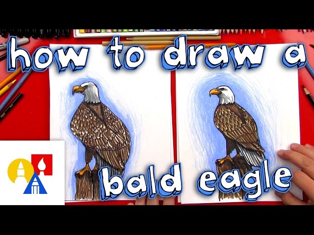 How To Draw A Realistic Bald Eagle