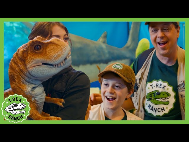 Let's Go Visit Jurassic Quest | 🦖🦕 T-Rex Ranch Dinosaur Videos