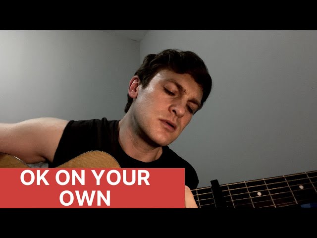 Carly Rae Jepsen - Ok On Your Own )Acoustic Cover by Chris Zurich)