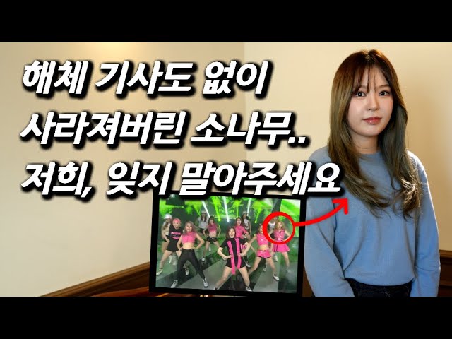 [하이디를 만나다] 갑자기 사라진 걸그룹 소나무...아이돌 1티어 보컬, 해체 후 근황
